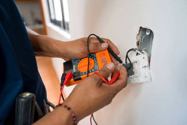 Best Electric Panel Repair  in Verona Walk, FL